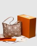 Сумка Louis Vuitton CarryAll PM Bicolor Monogram (Без Предоплати)