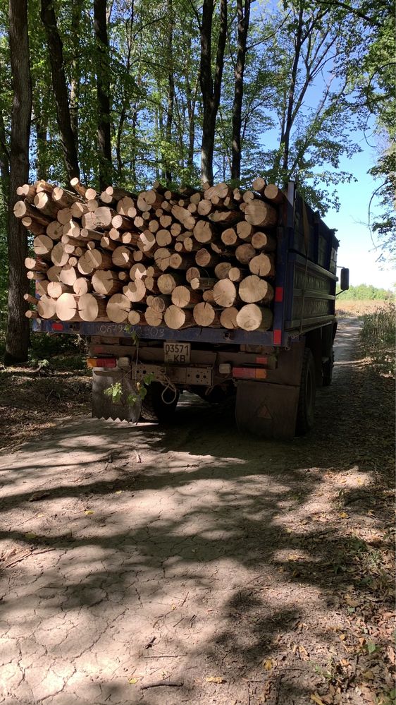 Продаю дрова твердих порід