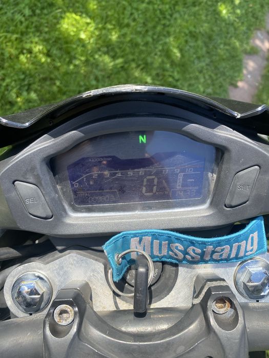 Musstang Region MT250