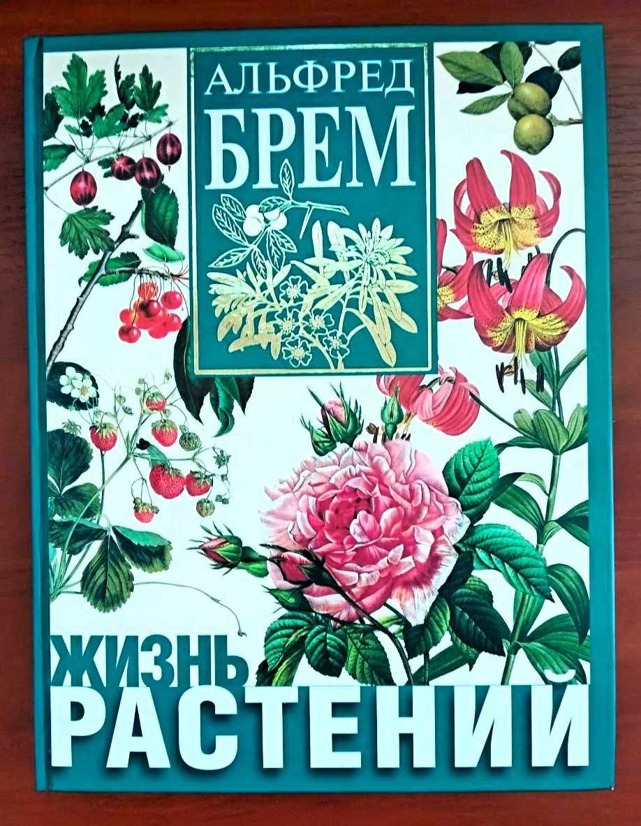 Антикварные, винтажные, редкие книги
