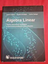 Livro Álgebra Linear