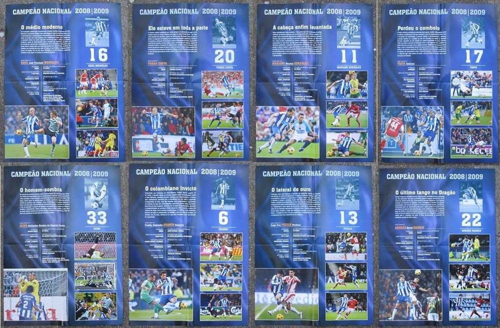 25 Posters FC Porto campeão nacional 2008/9