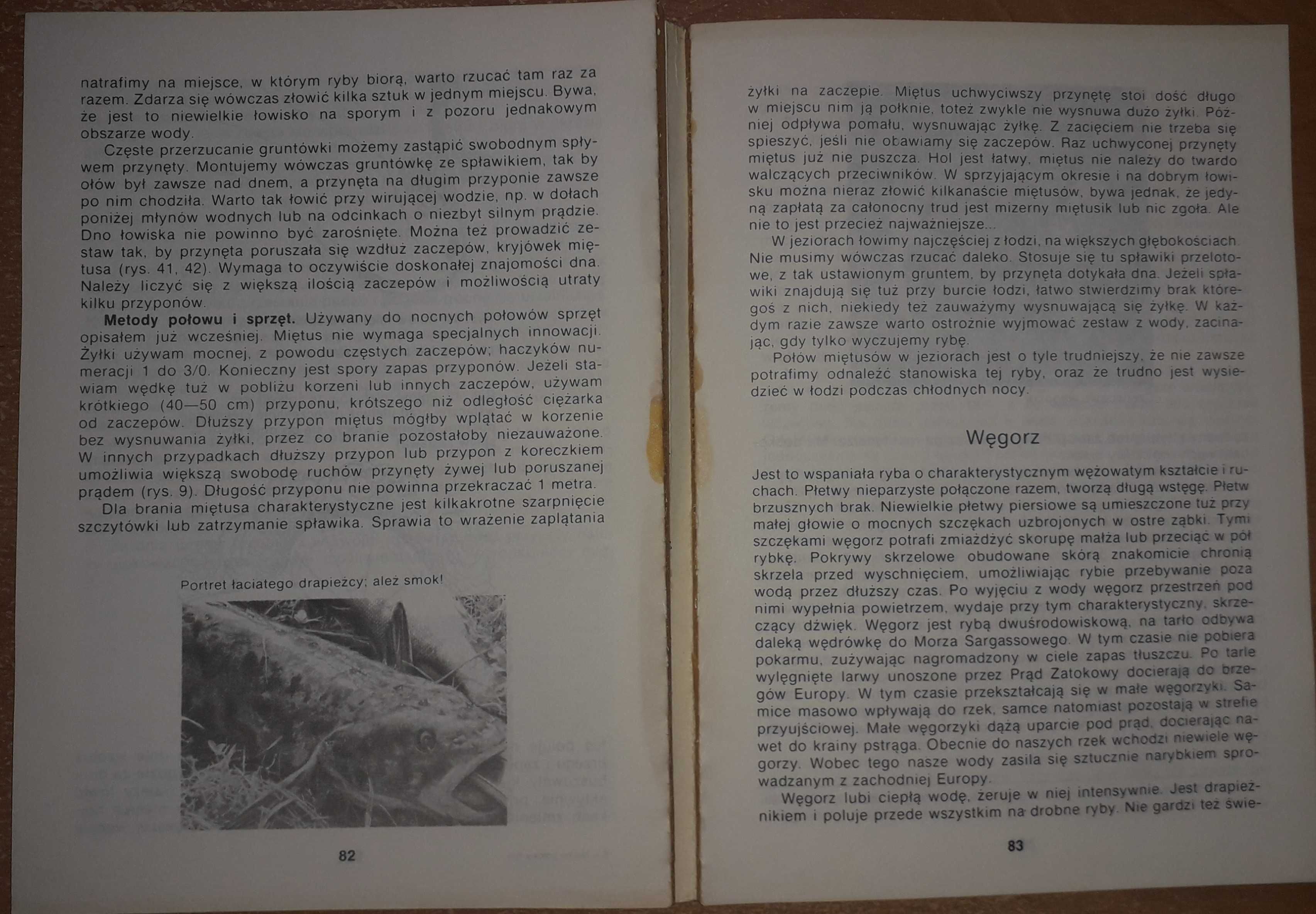 Nocne połowy ryb - Andrzej Trembaczowski - 1991