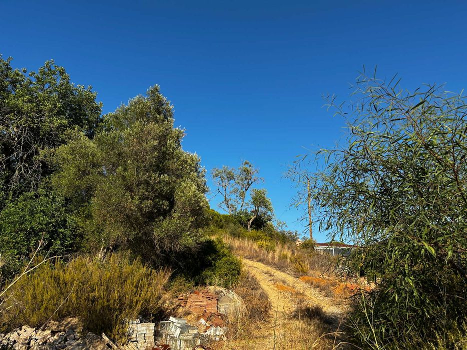 Terreno Rustico em Boliqueime, Ribeiro