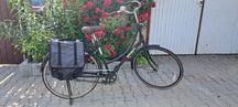 Rower holenderski