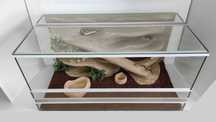 Terrarium dla agamy brodatej TW02PG, AquaWaves