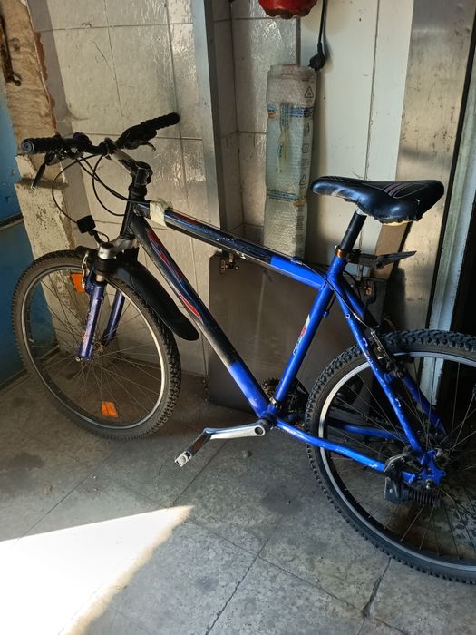 Bicicleta de adultos