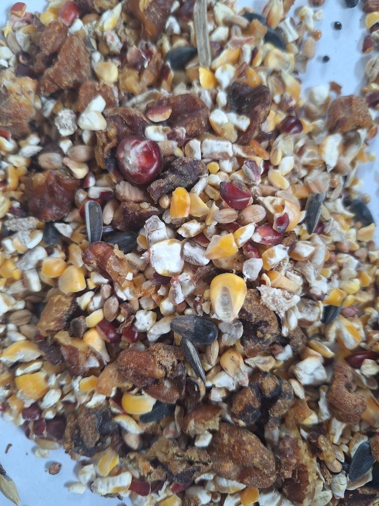 Pokarm do karmnika Danimo ORZECHOWY 5 kg.Dla ptaków dzikich.GRATIS