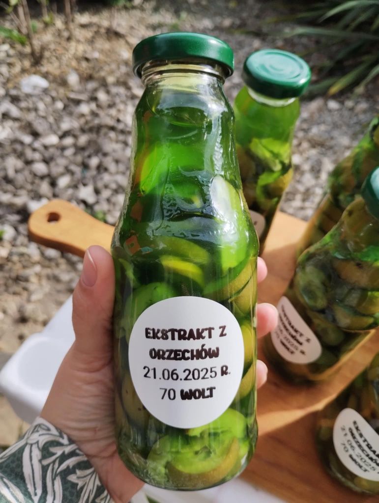Ekstrakt z młodych orzechów włoskich 330ml