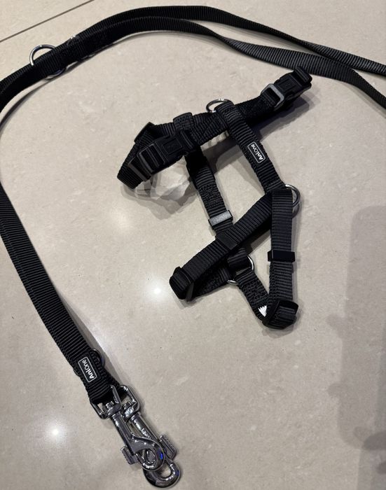 Szelki dla psa S + smycz dla psa 2 m AniOne