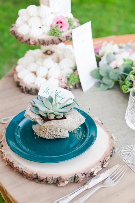 Plaster drewna krążki brzoza 17-20cm szlifowane