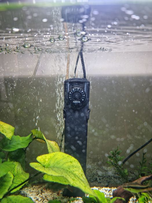 Akwarium 100 l - pełne wyposażenie