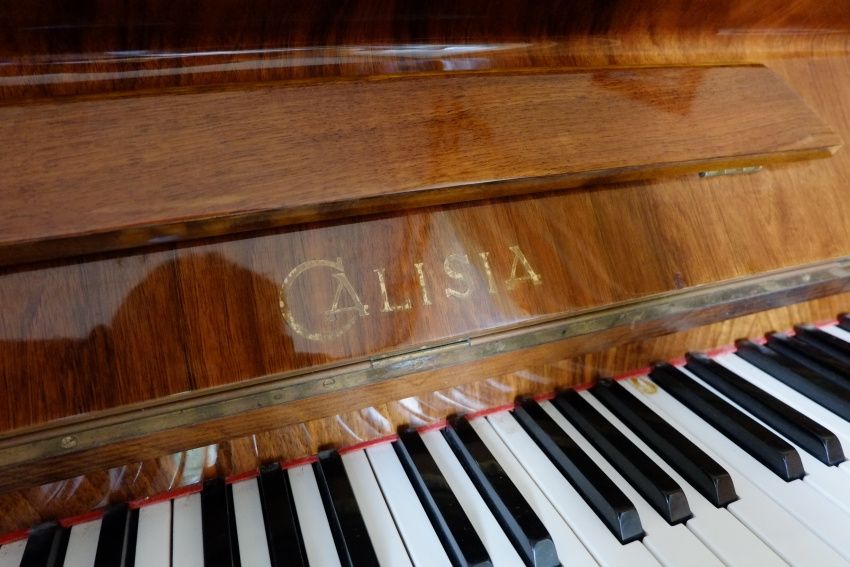 pianino Calisia