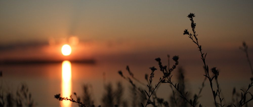 Анаморфний об'єктив SIRUI 1,33x 50mm /f1.8 Fujifilm X-mount