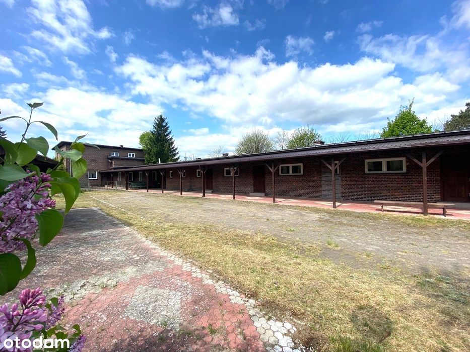 4 niezależne lokale nieopodal lasu i jeziora