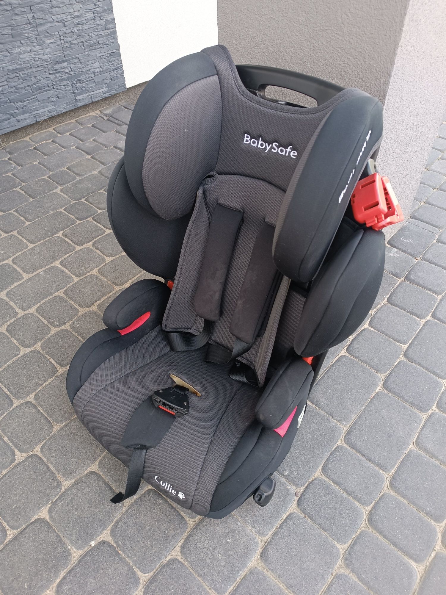 Fotelik do samochodu dla dziecka BabySafe Collie