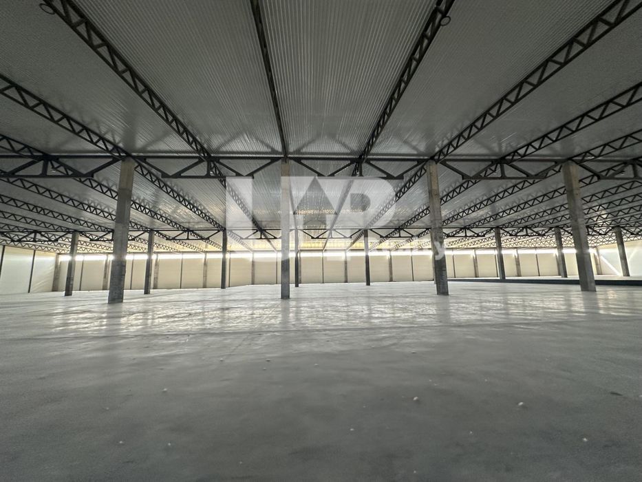 Новий склад класу А Кільцева