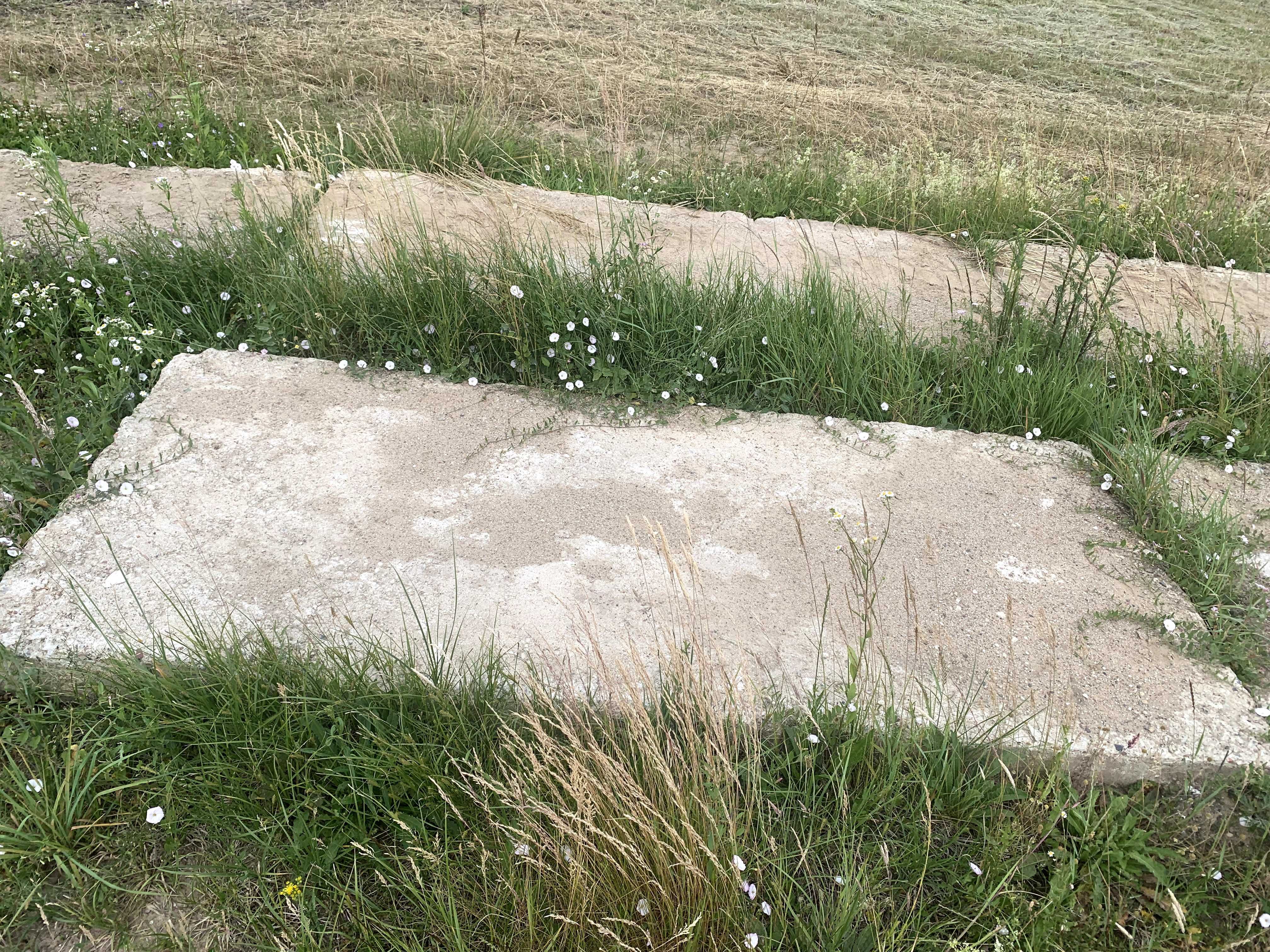 Płyty drogowe Zbrojone Używane 6 sztuk + gratis złamane