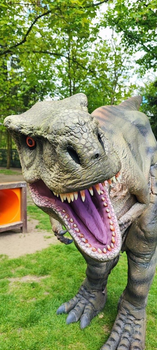 Dinozaur jak żywy