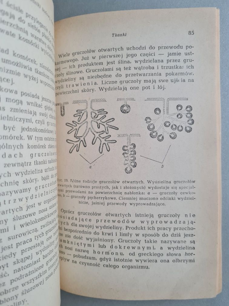 O budowie i czynnościach ciała ludzkiego - Dr B. Zaremba