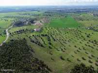 Terreno 4,4ha com projecto de Moradia