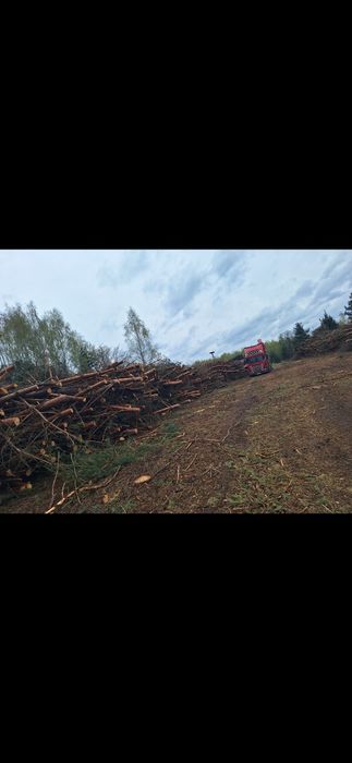Darmowa wycinka drzew lasow samosiejek czyszczenie dzialek mulczer
