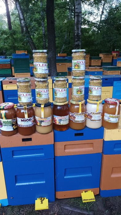 Miód naturalny z pasieki