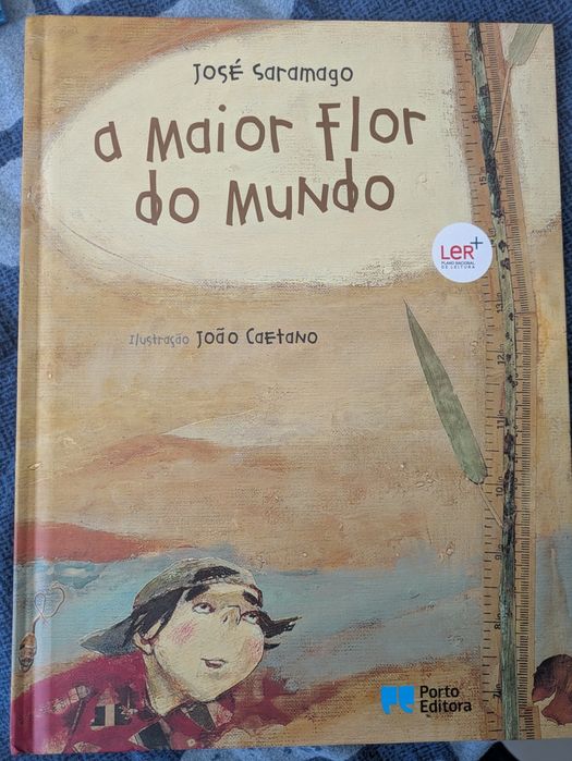 Vários livros de leitura obrigatória 1° ciclo