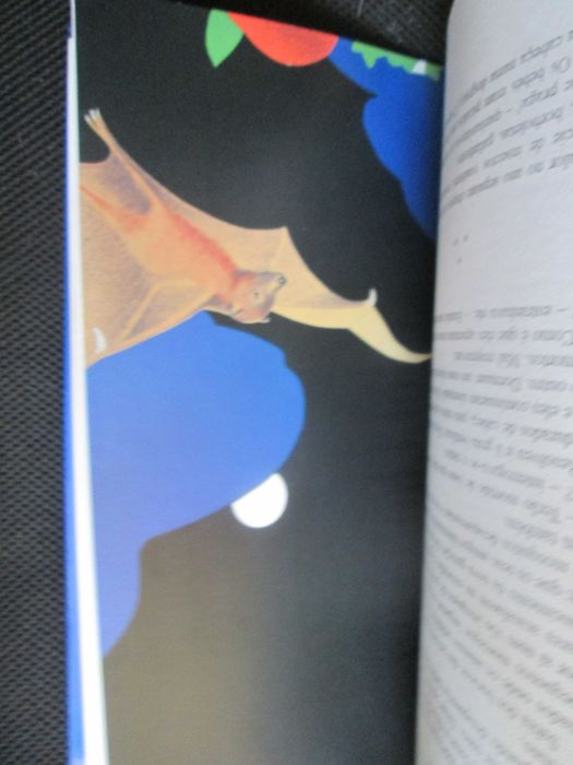 S.O.S. Animais em Perigo!, de Luísa Ducla Soares; Ilust. Isabel Paiva