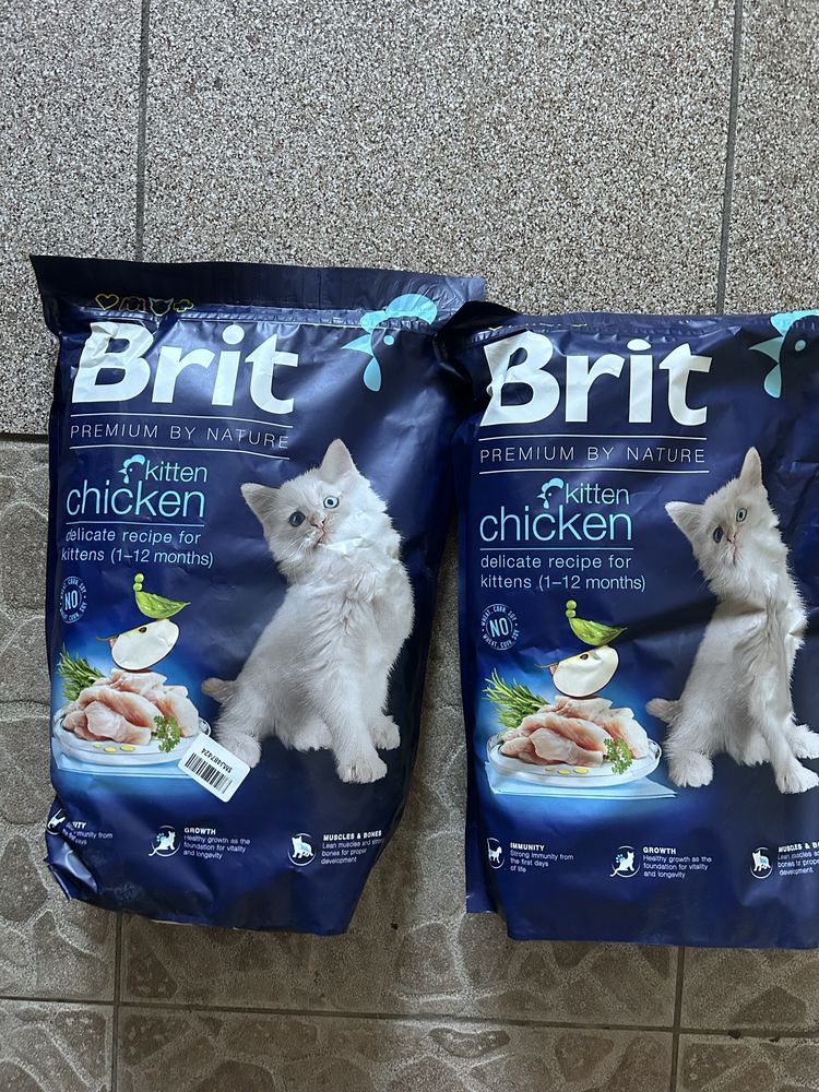 Brit для котят сухой корм