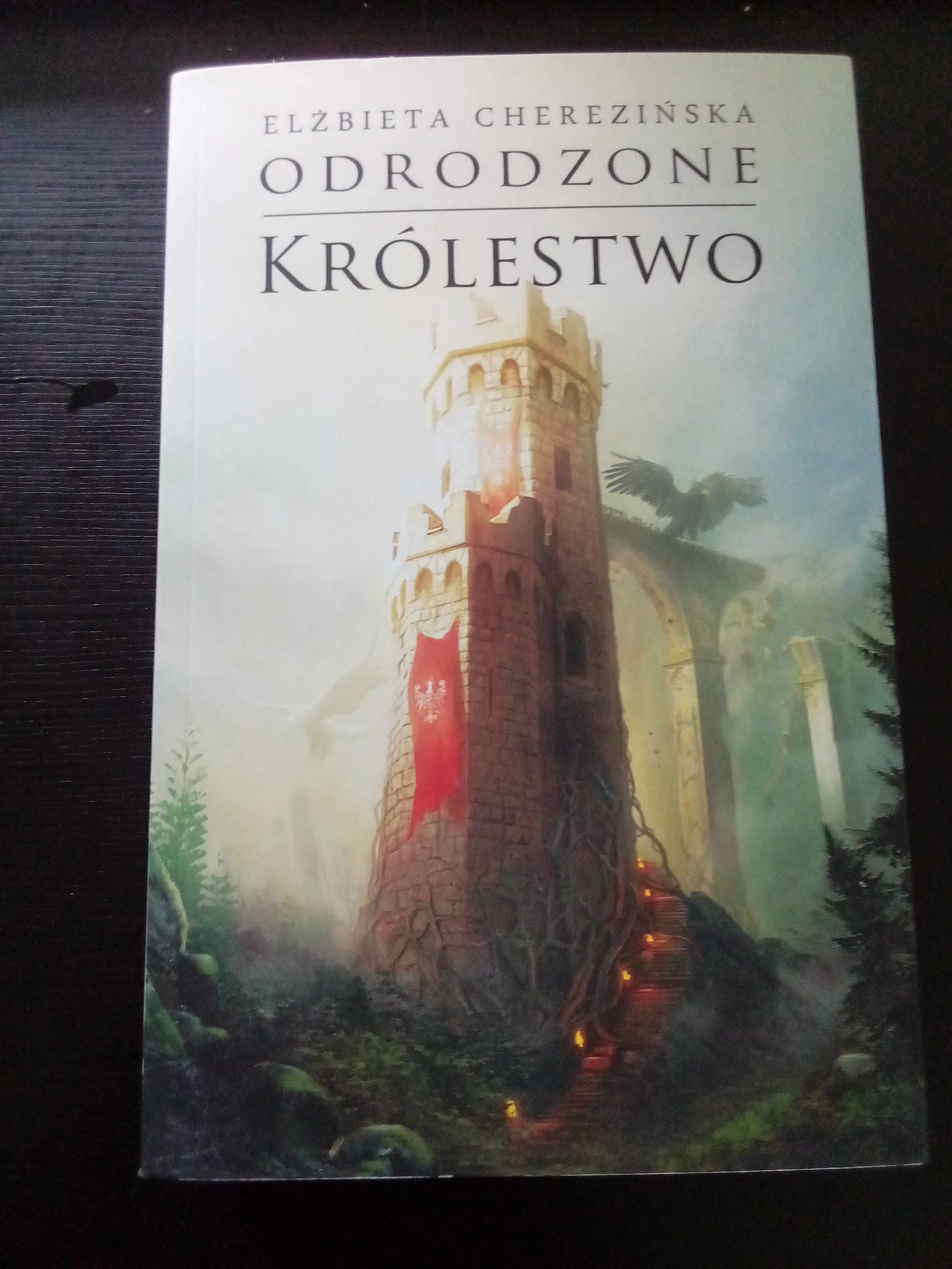 E. Cherezińska, "Odrodzone Królestwo"