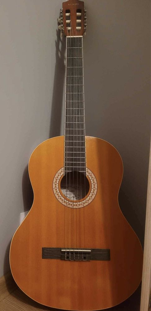 Gitara Alamo kostki stroik pokrowiec
