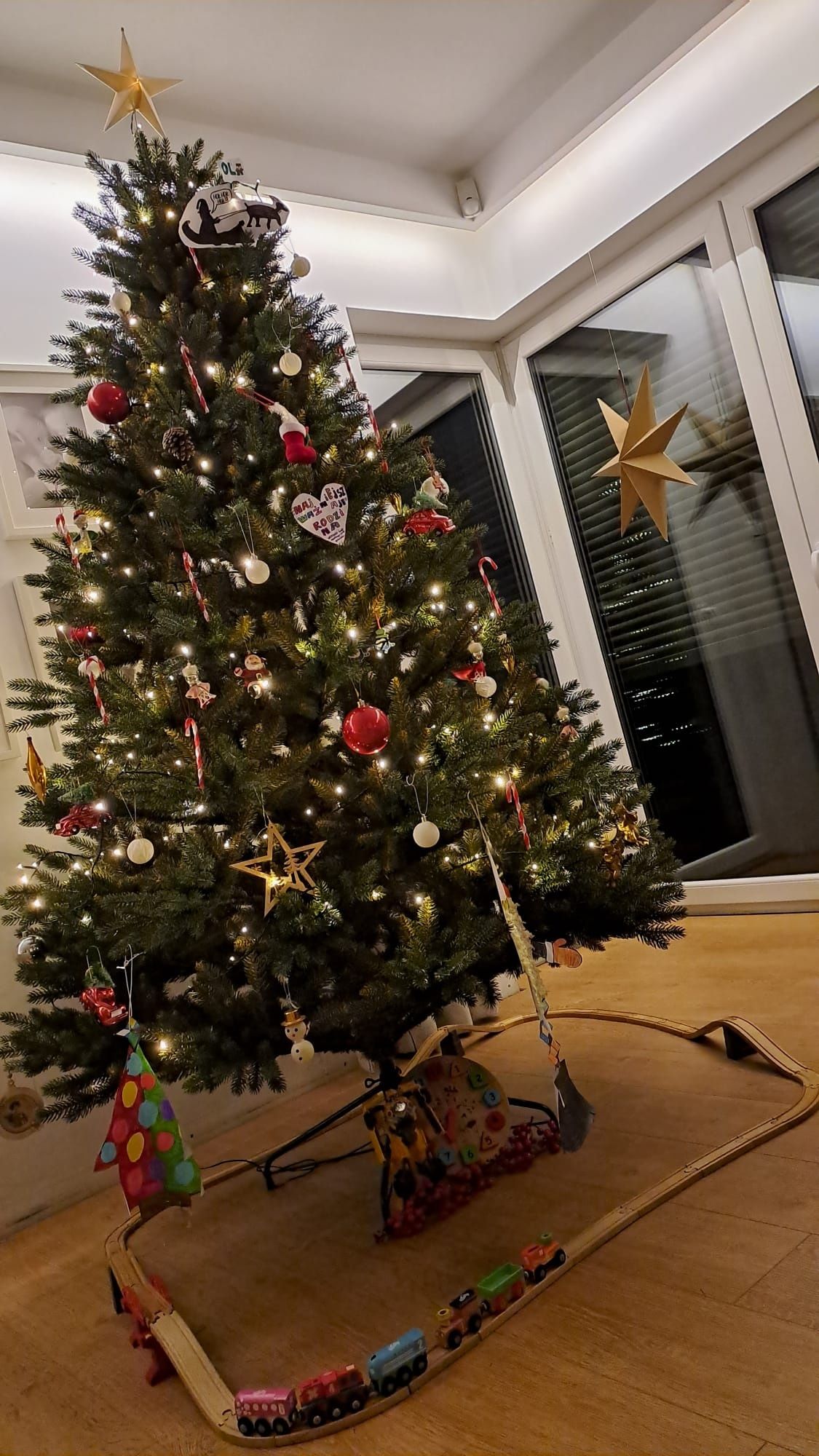 Świerk kanadyjski Clarex