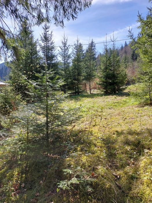 Котедж, будинок в Карпатах Татарів 2-6 осіб