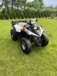 Quad Aeon Cobra 180 cm3