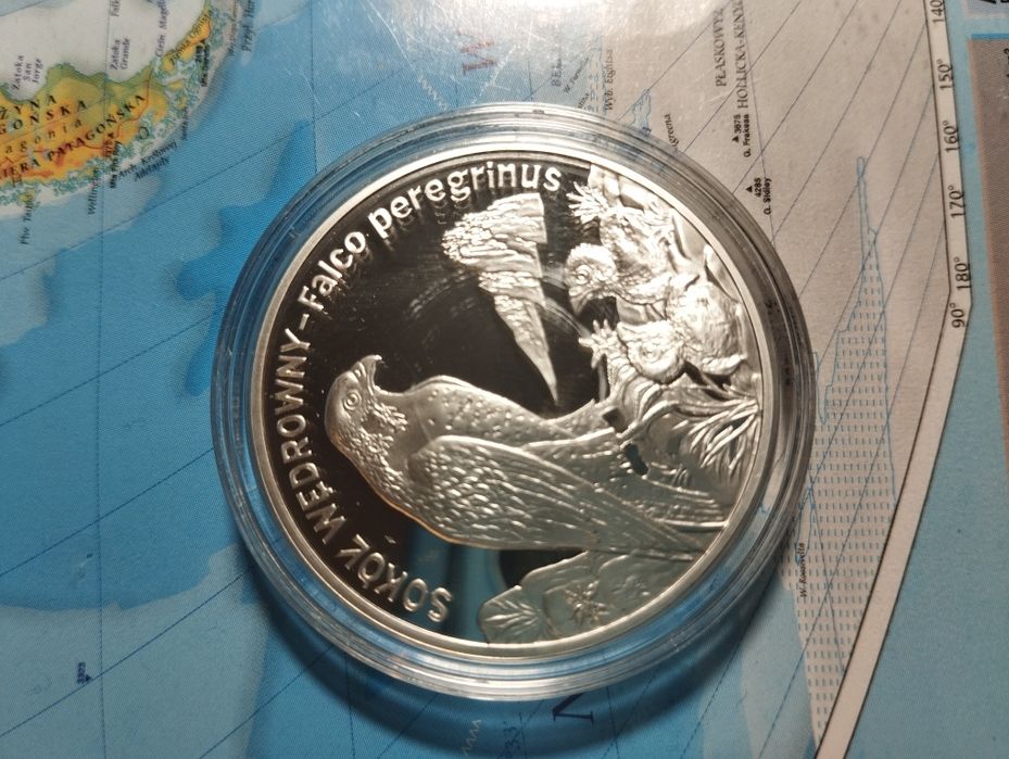 Moneta srebrna Sokół wędrowny 20 zł