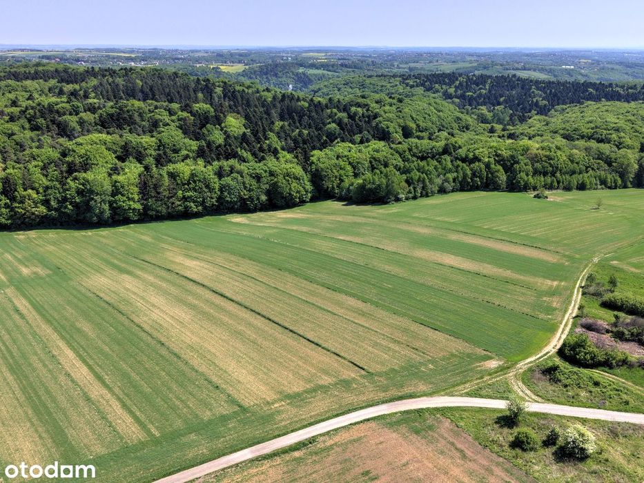 Ojcowski Park Narodowy