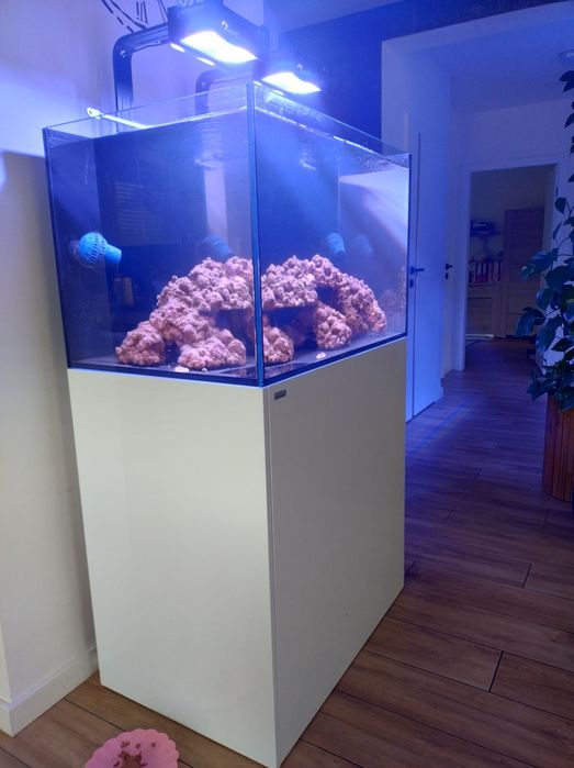 Akwarium morskie Aquaforest oceanguard 435