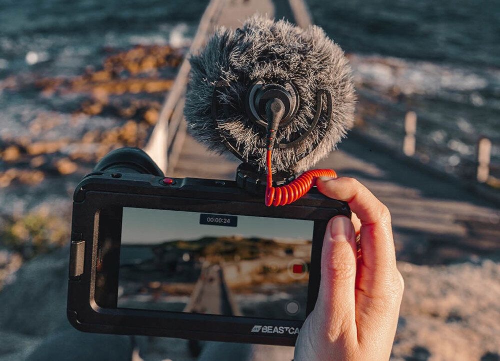 Mikrofon pojemnościowy Rode VideoMicro