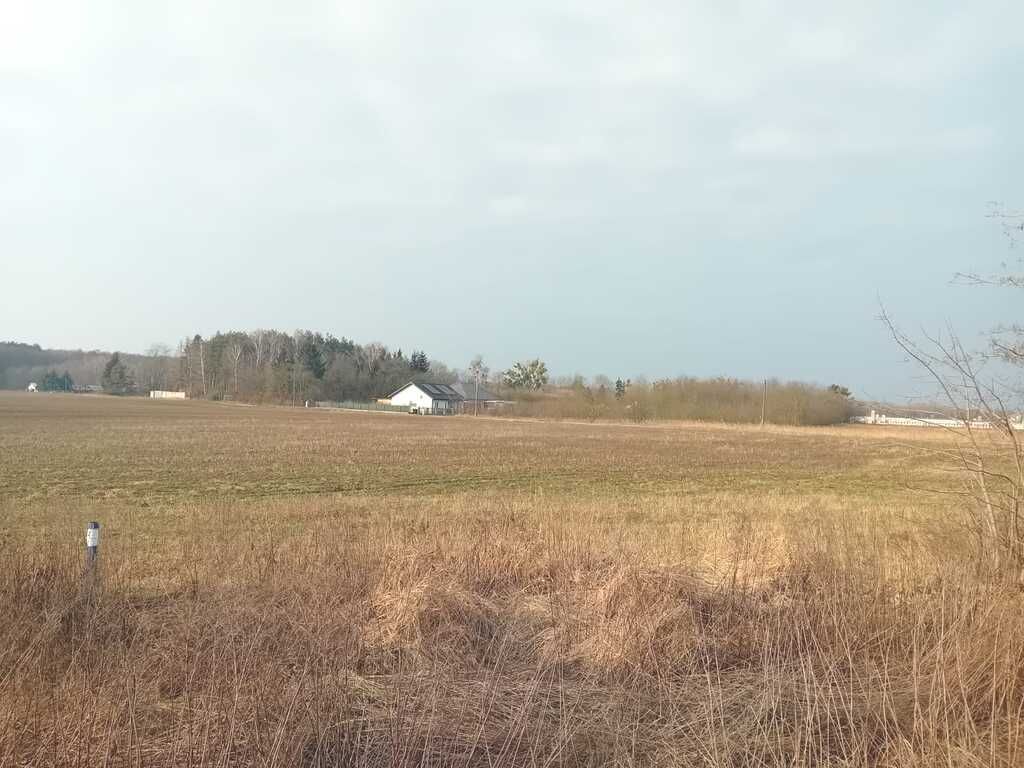 działka budowlana w Goleniowie
