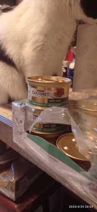 Karma dla kota Gourmet Gold królik