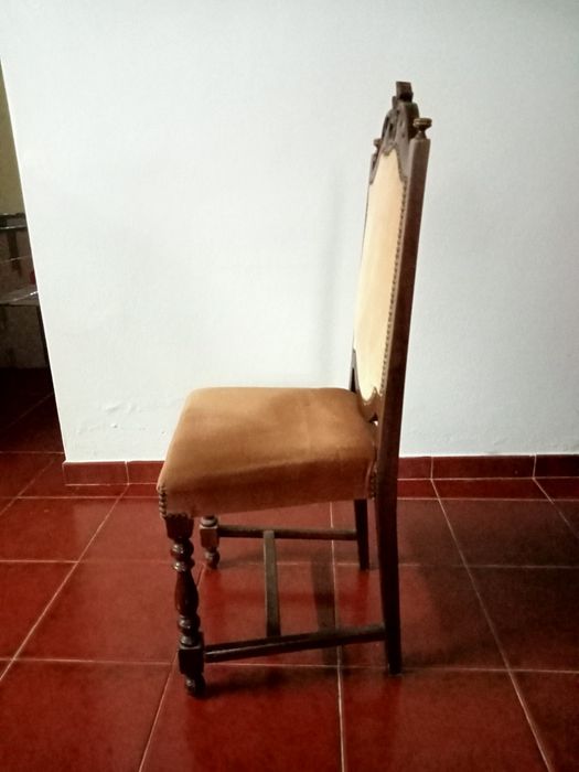 Cadeiras Mogno estofadas a veludo
