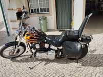 Harley Davidson Softail Custom