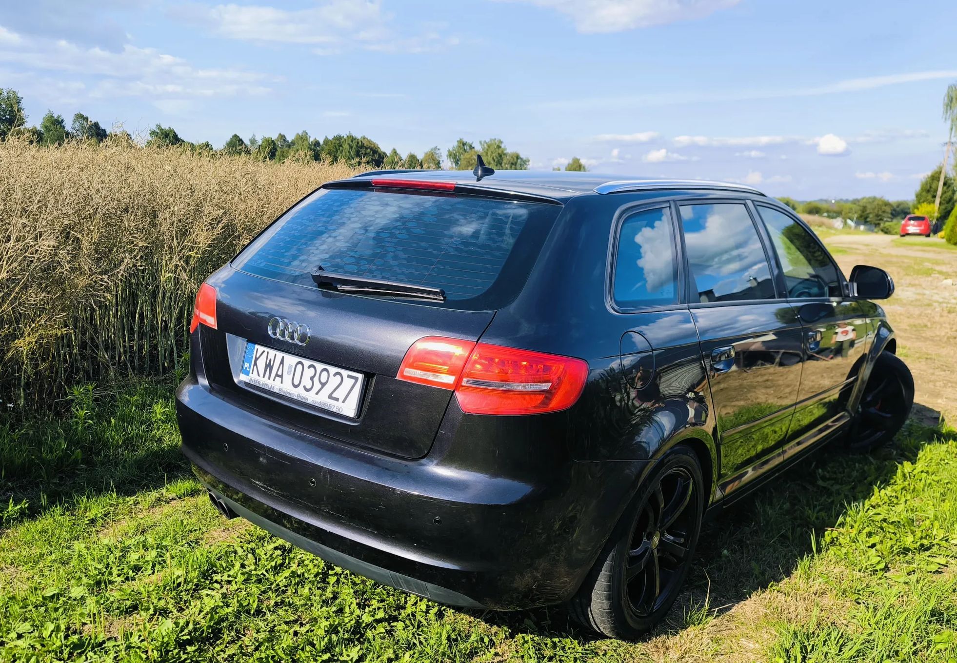 Audi A3 Audi A3 8P 1.8 TFSI