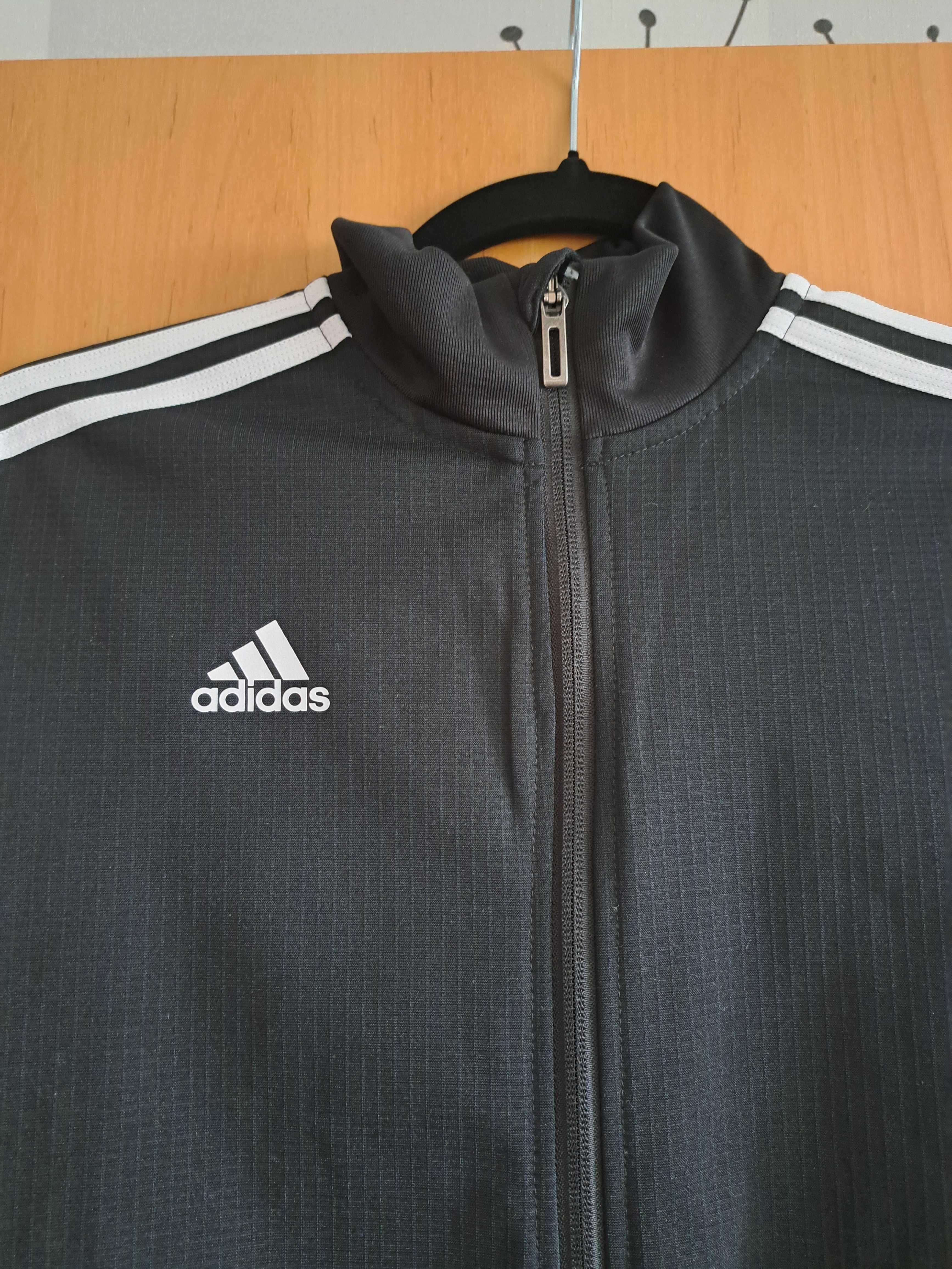 Bluza Adidas, nowa bez metki, polecam.