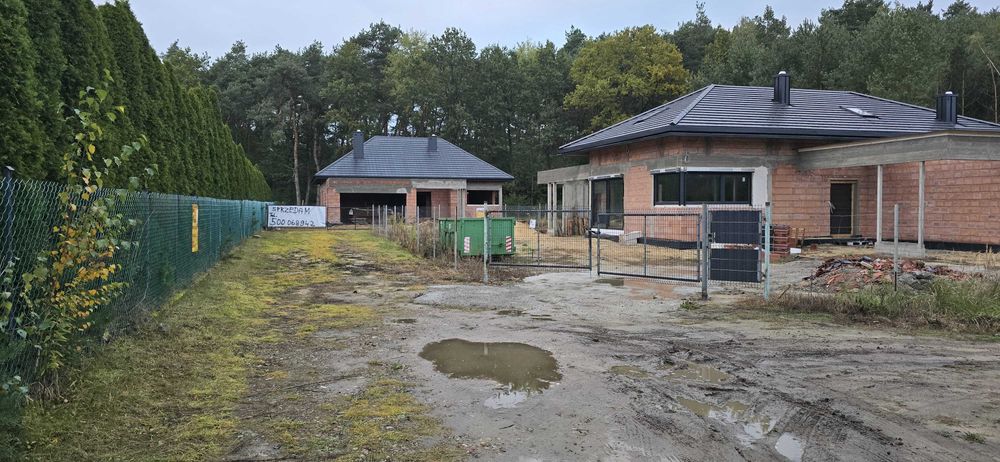 dom jednorodzinny HomeKoncept 31L
