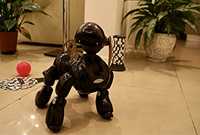 Робот собака aibo ERS-7M3 Black