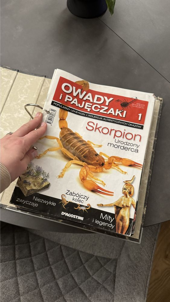 [!!!] Kolekcja  Owady i pajeczaki - prawdziwe owady w zywicy