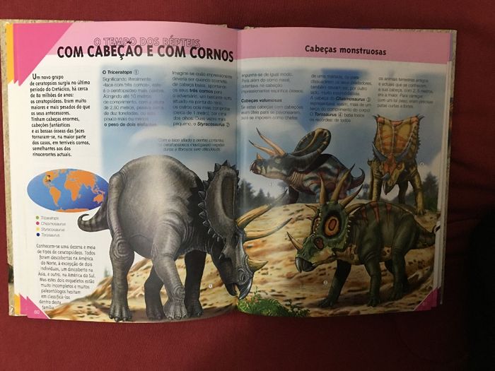 Vendo enciclopédia por imagens "A classe Dinossauros e a Pré-História"