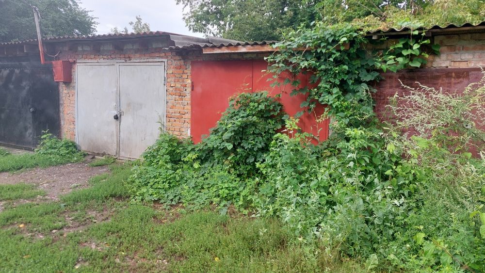 Гараж з підвалом (приватизована земельна ділянка)